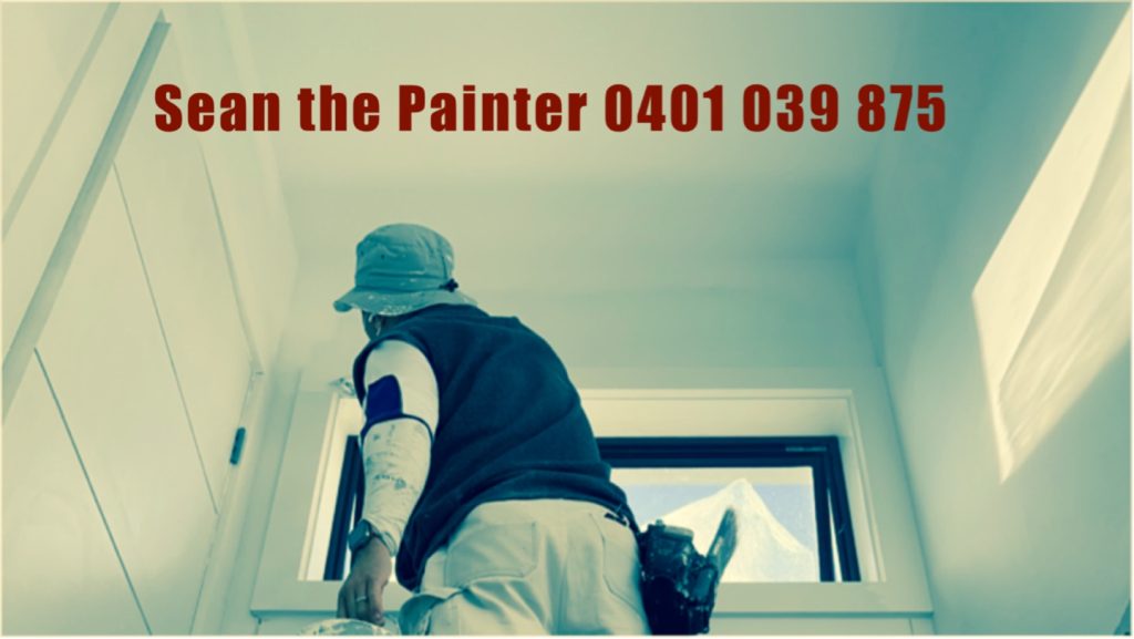 SEAN THE PAINTER